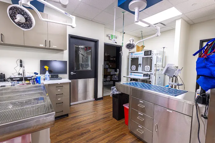 Catskill Veterinary Services- Newburgh, PLLC Picture 3