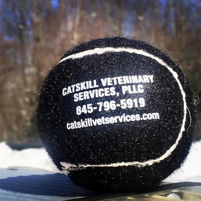 Catskill Veterinary Services- Newburgh, PLLC Picture 9