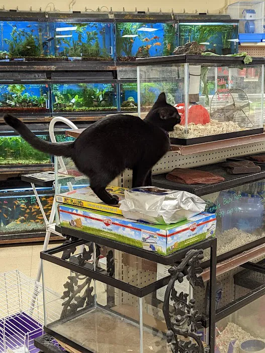 Noah's Ark Pet Center Picture 7