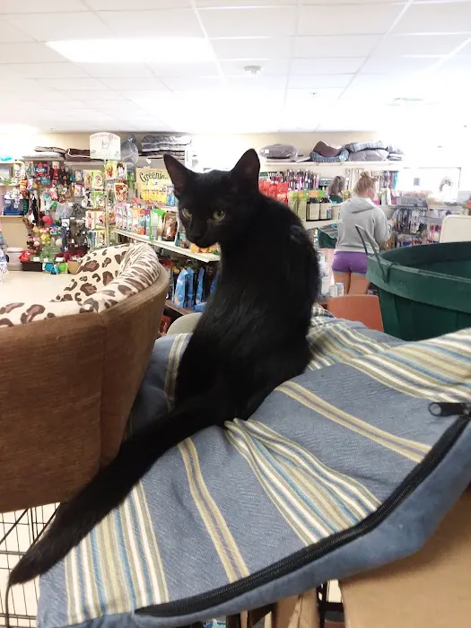 Noah's Ark Pet Center Picture 4