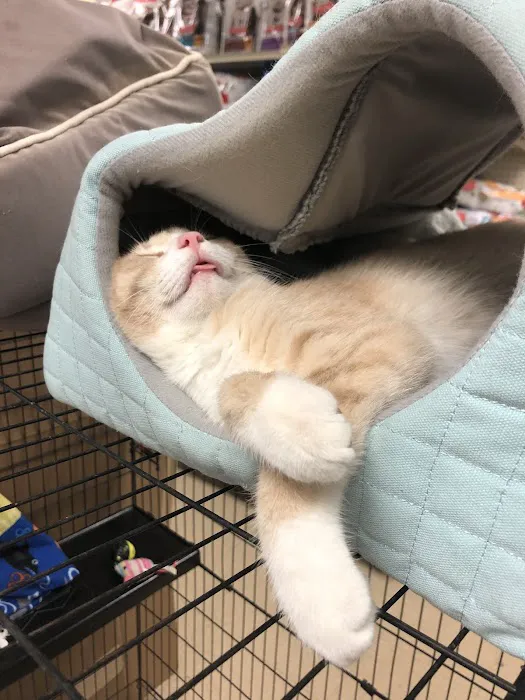 Noah's Ark Pet Center Picture 6