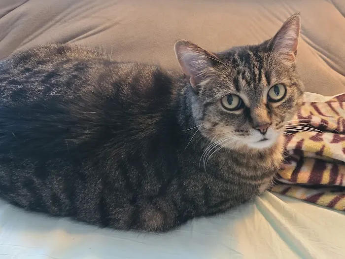 Noah's Ark Pet Center Picture 3