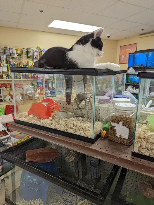 Noah's Ark Pet Center Picture 5