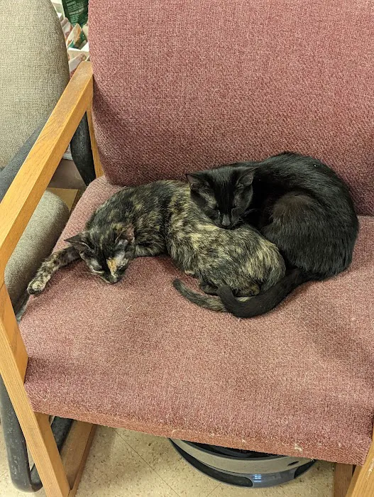 Noah's Ark Pet Center Picture 9