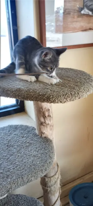 Noah's Ark Pet Center Picture 1