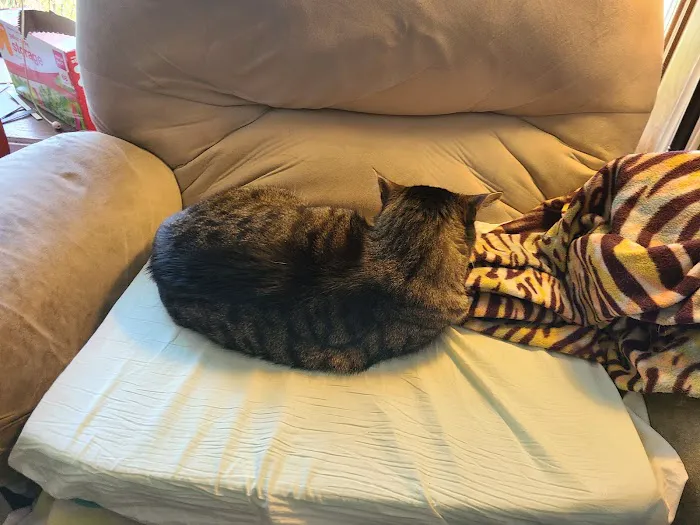 Noah's Ark Pet Center Picture 2