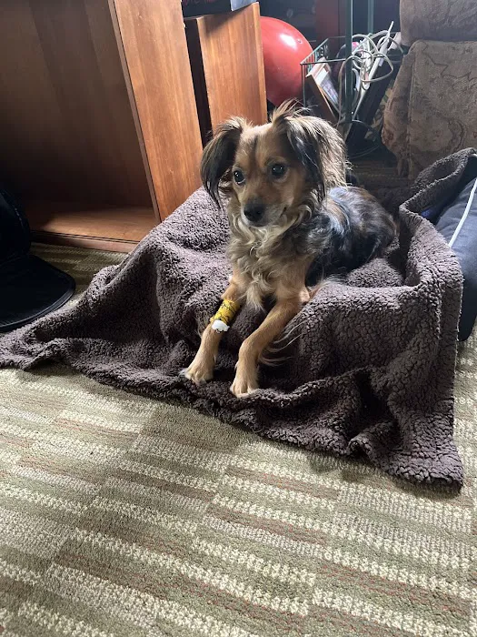 Hudson Highlands Veterinary Medical Group - Hopewell Junction Picture 1