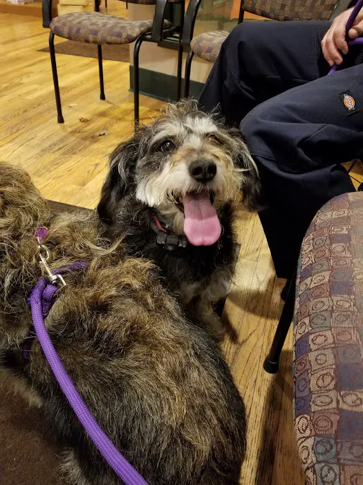 Hudson Highlands Veterinary Medical Group - Hopewell Junction Picture 4