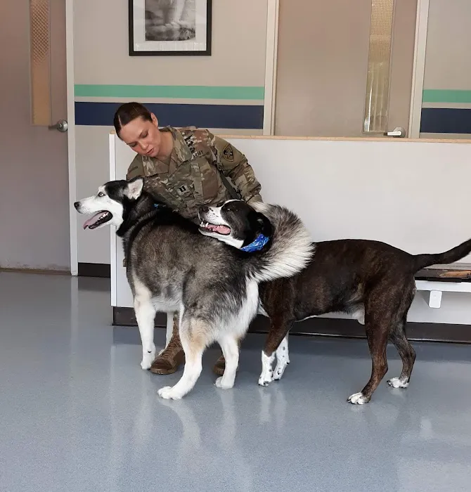 VCA Flannery Animal Hospital Picture 8