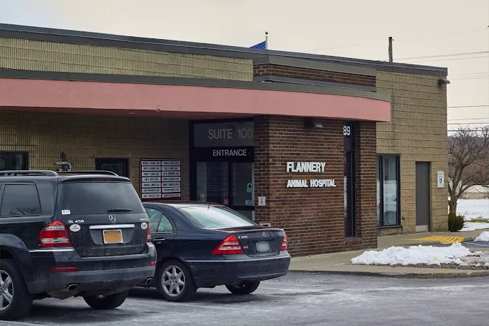 VCA Flannery Animal Hospital Picture 5