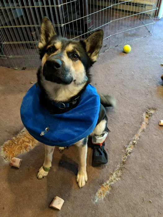 VCA Flannery Animal Hospital Picture 10