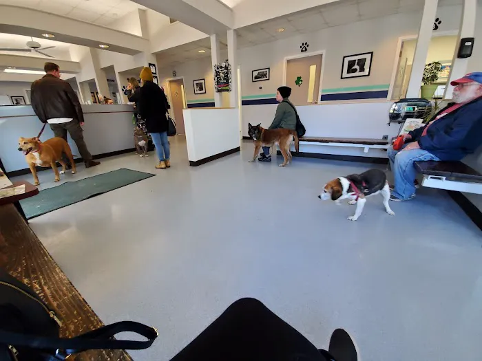 VCA Flannery Animal Hospital Picture 7