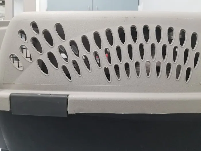 VCA Flannery Animal Hospital Picture 6