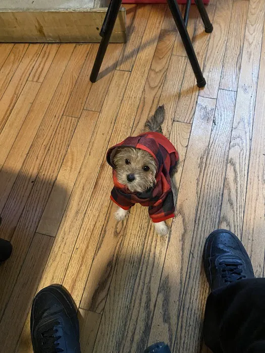 Banfield Pet Hospital Picture 5