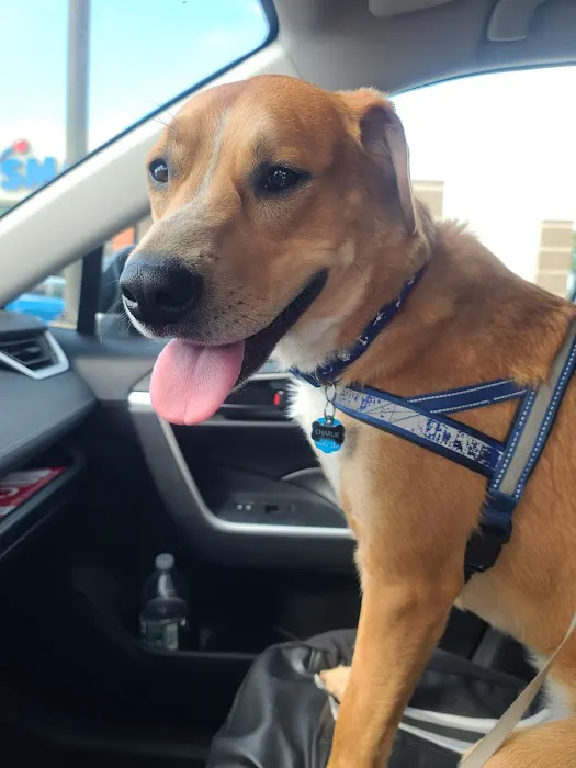 Banfield Pet Hospital Picture 4