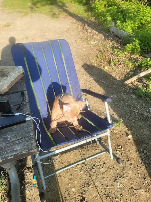 Banfield Pet Hospital Picture 2