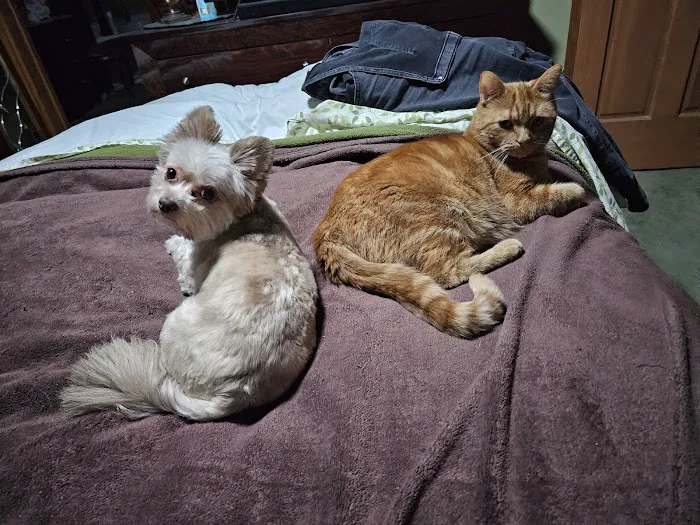 Banfield Pet Hospital Picture 1