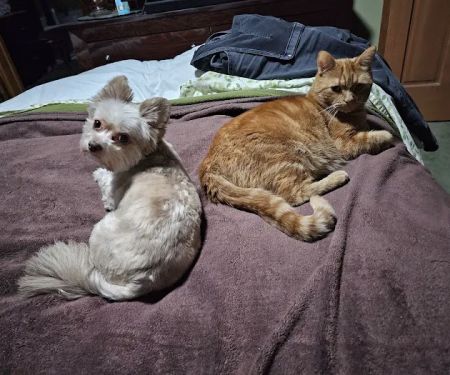 Banfield Pet Hospital