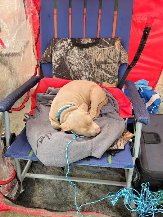 Banfield Pet Hospital Picture 6