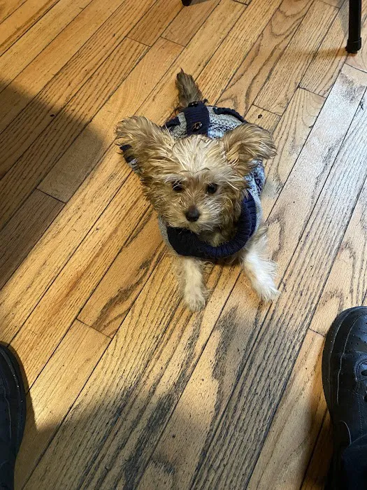 Banfield Pet Hospital Picture 7