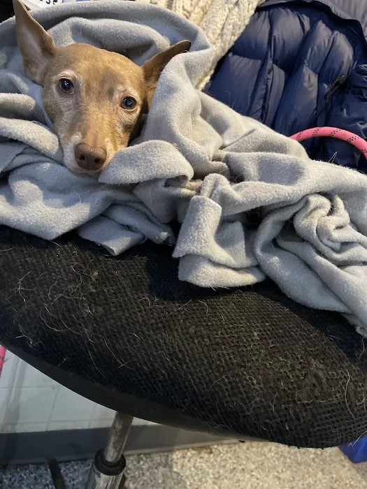 Bark Place Picture 4