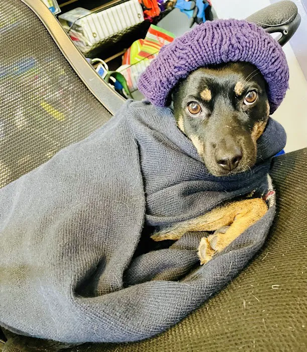 Bark Place Picture 6