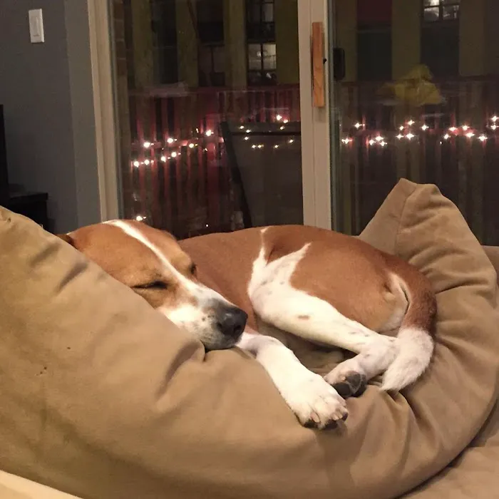 Bark Place Picture 5