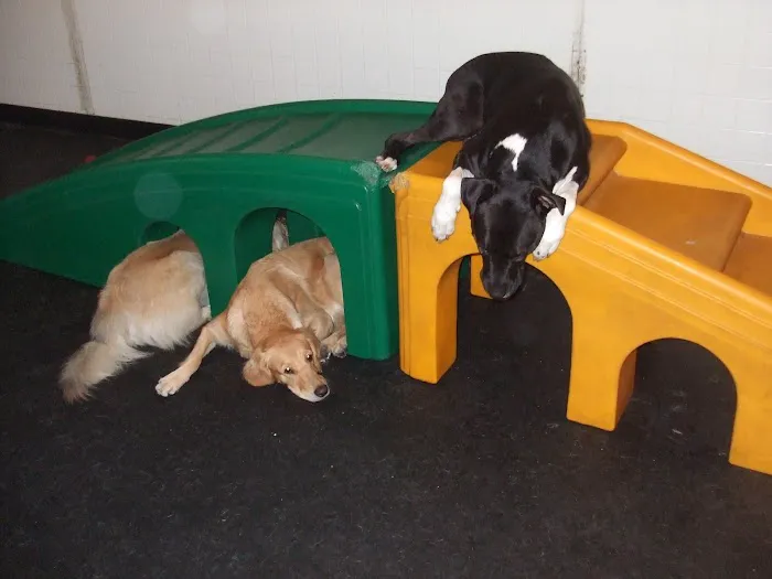 Bark Place Picture 3