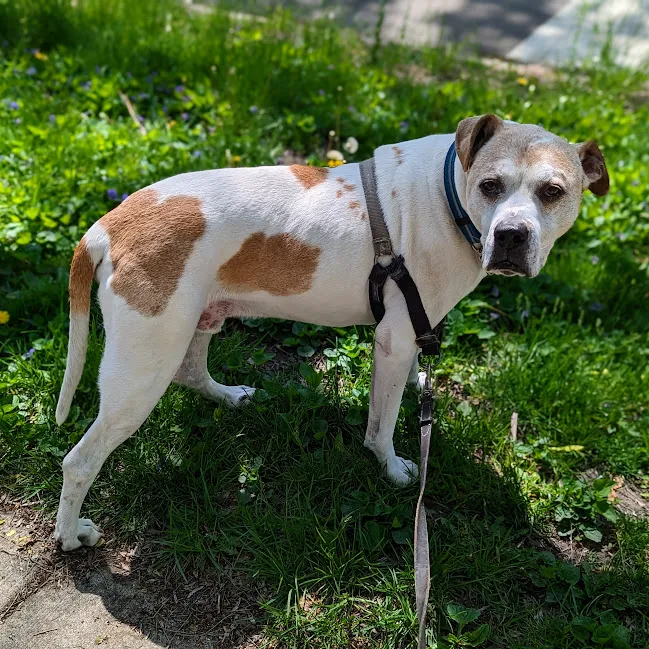 Bark Place Picture 9