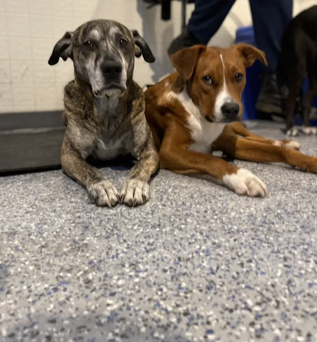 Bark Place Picture 8