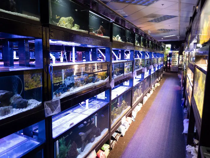 The Local Fish Store Picture 1