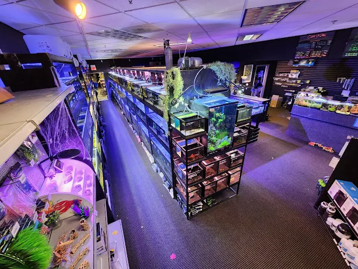 The Local Fish Store Picture 8