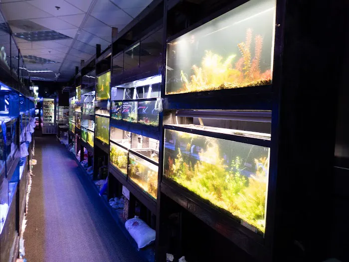 The Local Fish Store Picture 3