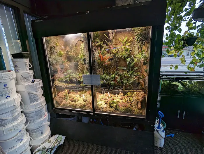 The Local Fish Store Picture 5