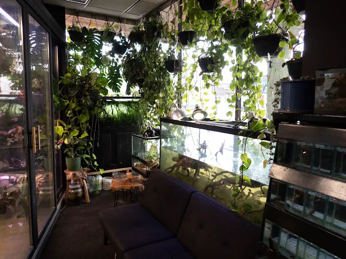 The Local Fish Store Picture 10