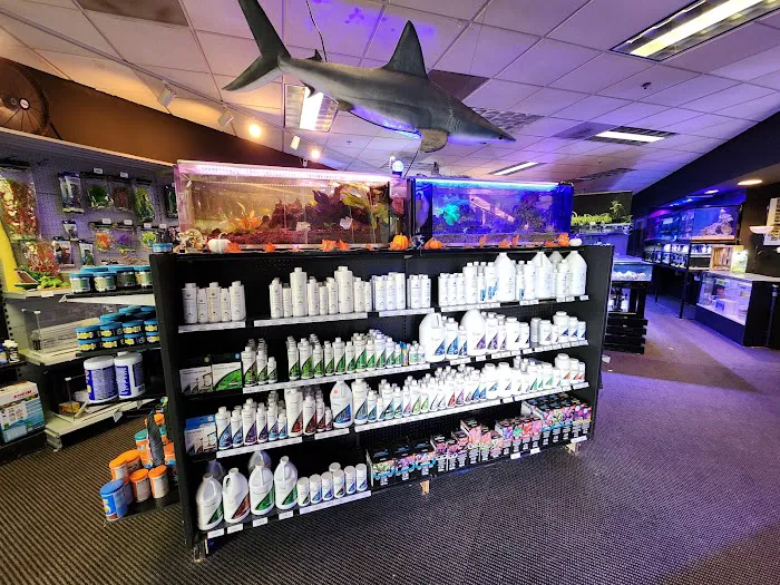 The Local Fish Store Picture 7