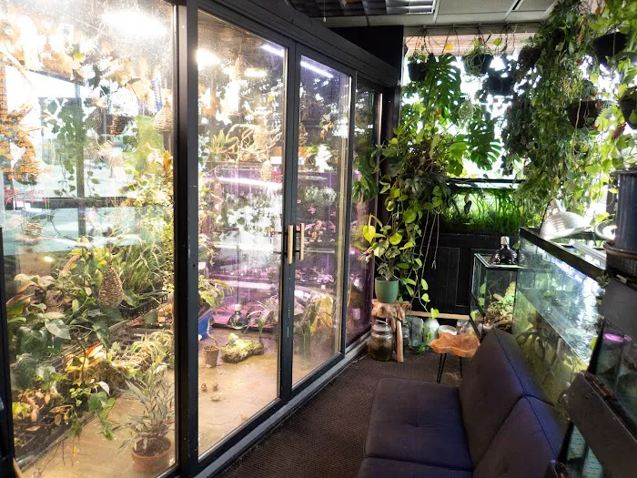 The Local Fish Store Picture 9