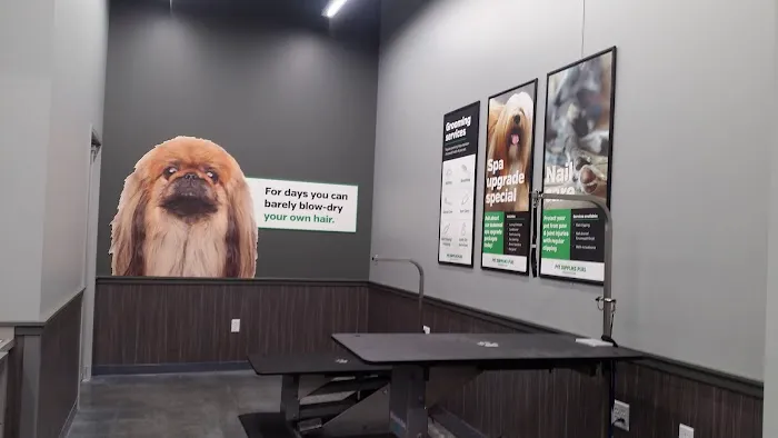 Pet Supplies Plus Evanston Picture 7