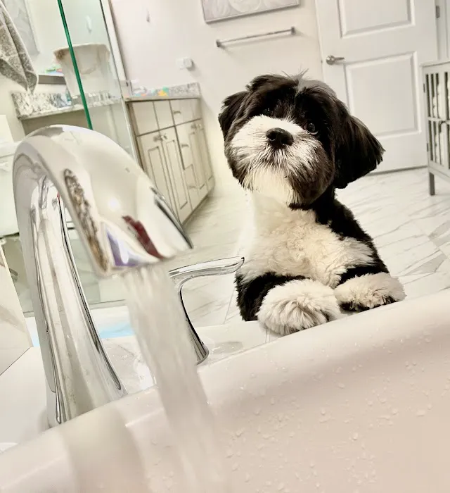 Kriser's Natural Pet Picture 2