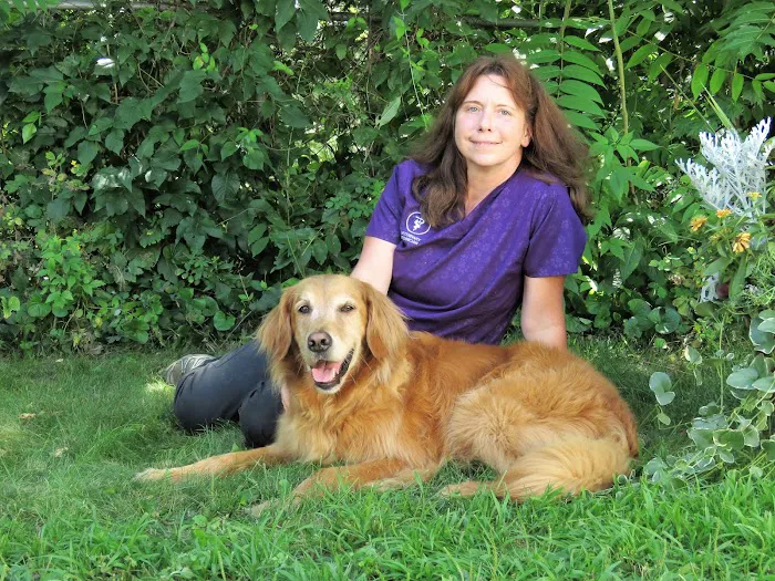 East Fishkill Animal Hospital Picture 1