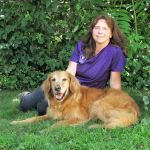 East Fishkill Animal Hospital