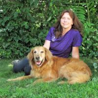 East Fishkill Animal Hospital ico