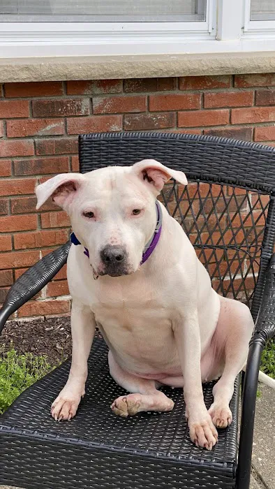 East Fishkill Animal Hospital Picture 2