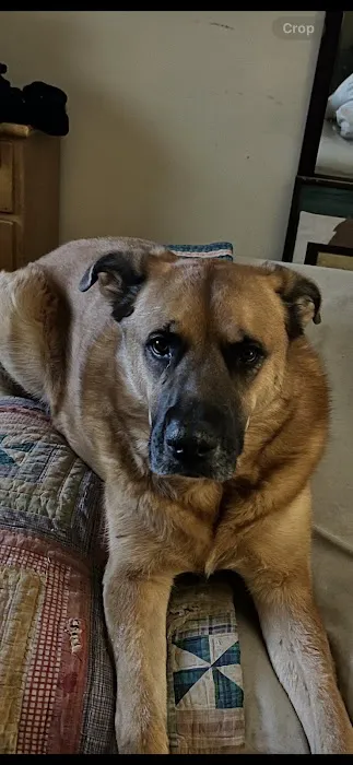 Wappingers Animal Hospital Picture 7