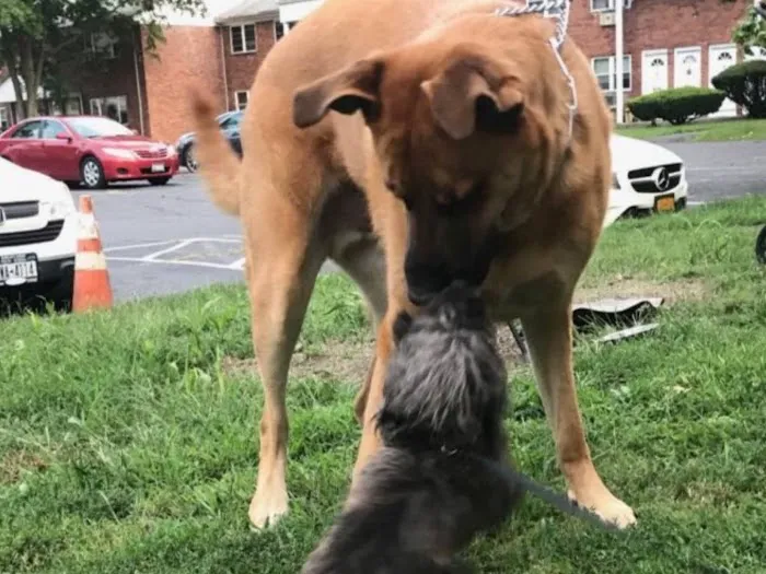 Wappingers Animal Hospital Picture 3