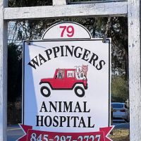 Wappingers Animal Hospital ico