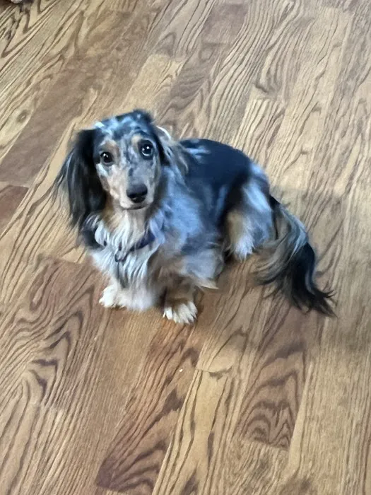 Wappingers Animal Hospital Picture 6