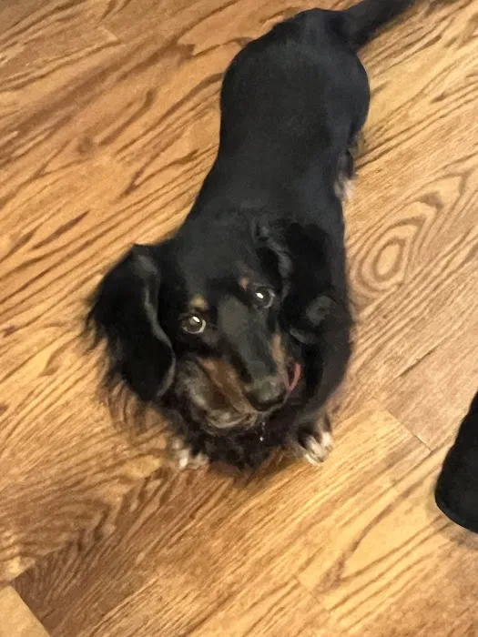 Wappingers Animal Hospital Picture 5