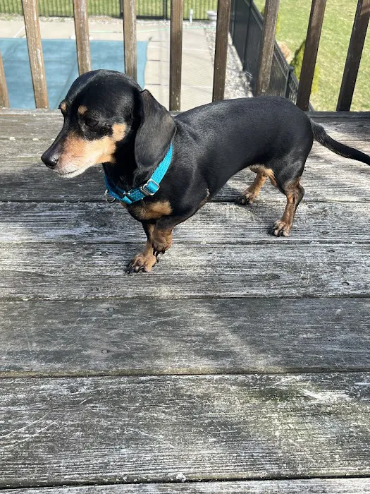 Wappingers Animal Hospital Picture 9