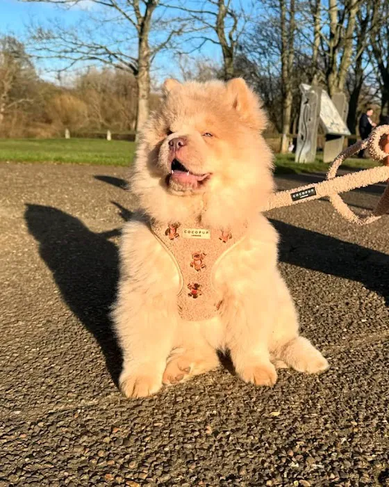 Wisconsin Adoptable Picture 6